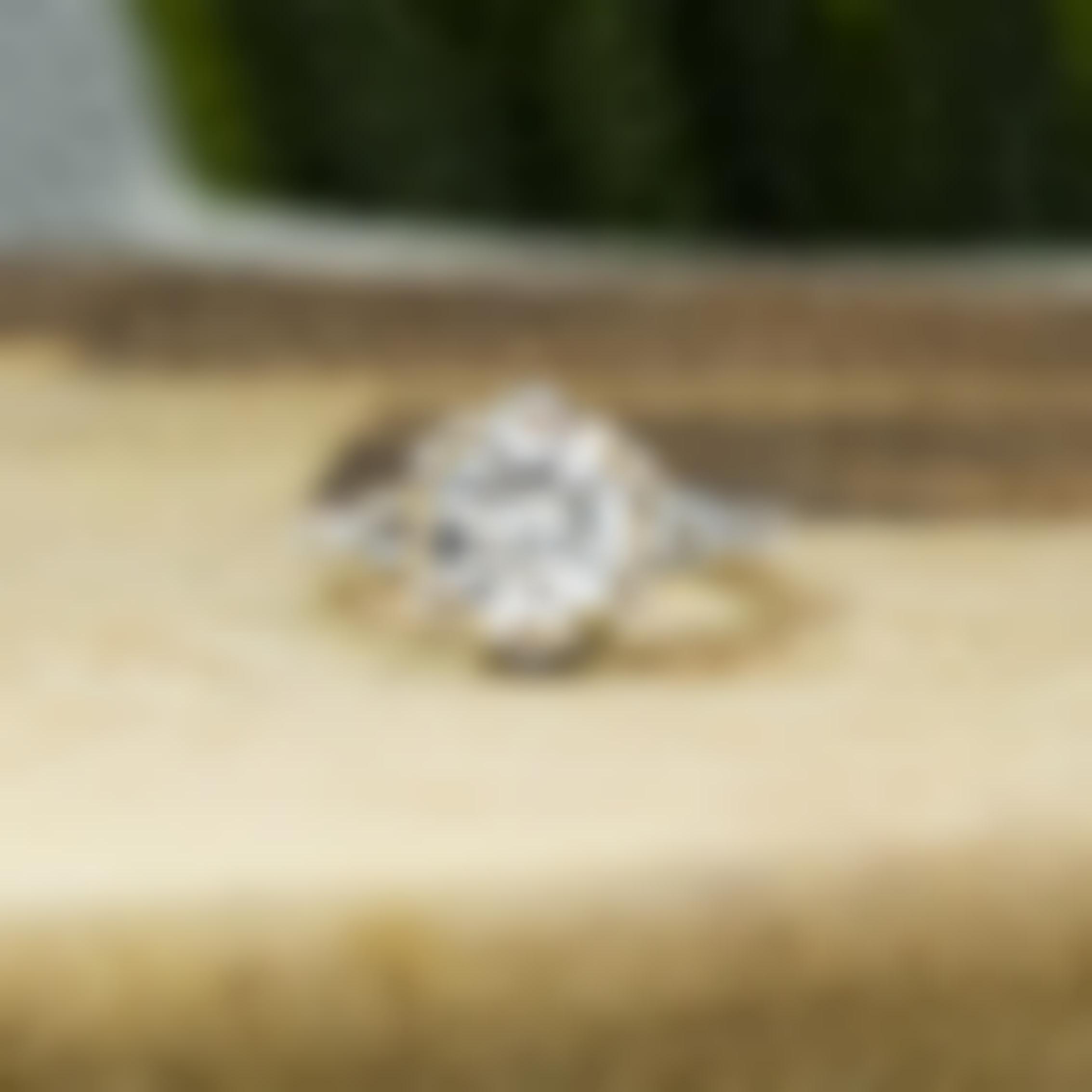 White gold diamond engagement ring with a diamond halo and diamonds in the band.