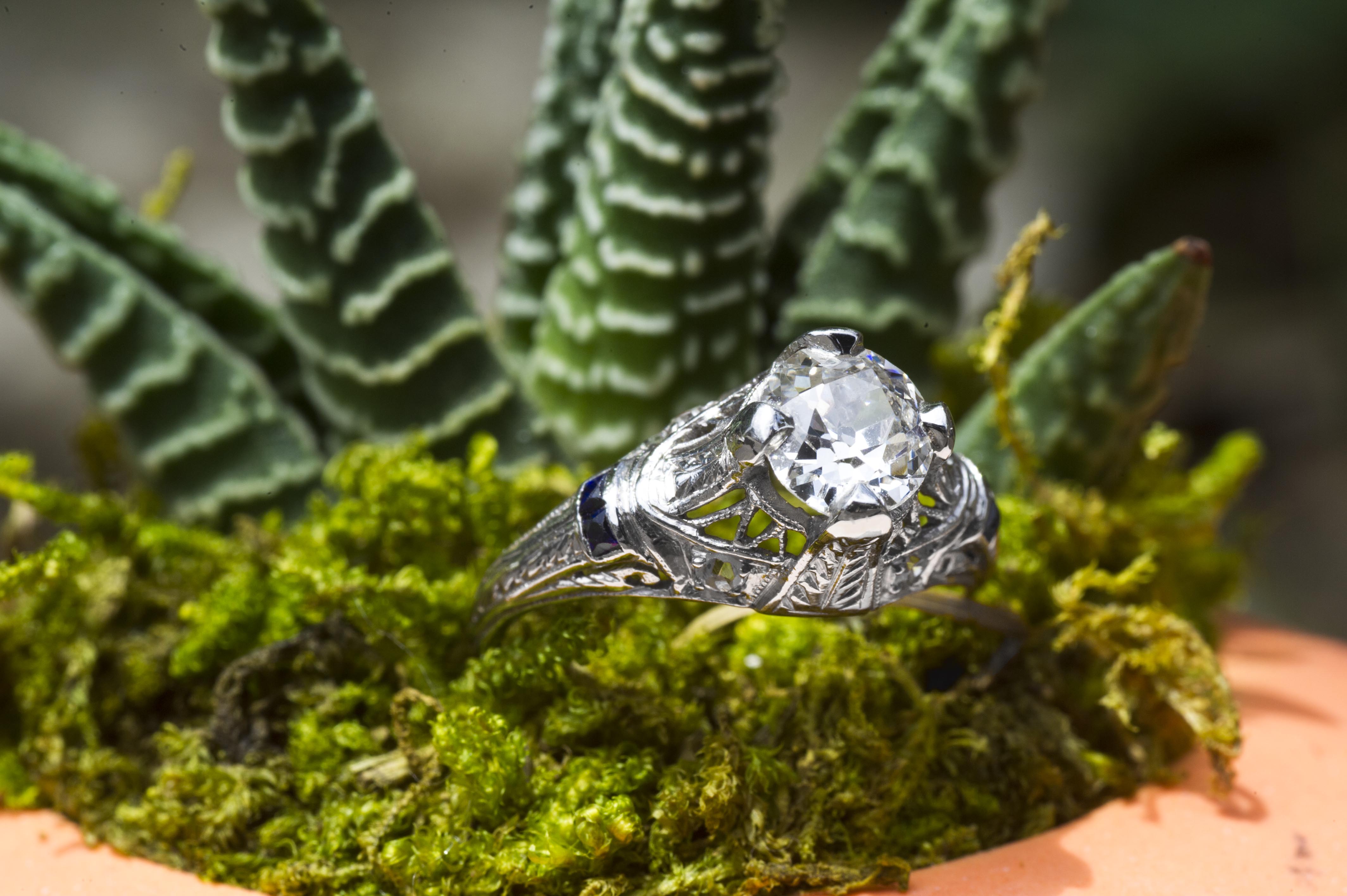 Antique filigree diamond engagement ring displayed in a succulent.