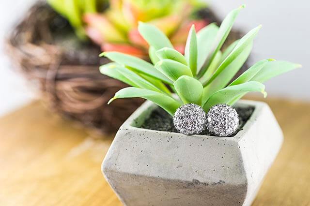 White gold diamond cluster stud earrings placed in plant.