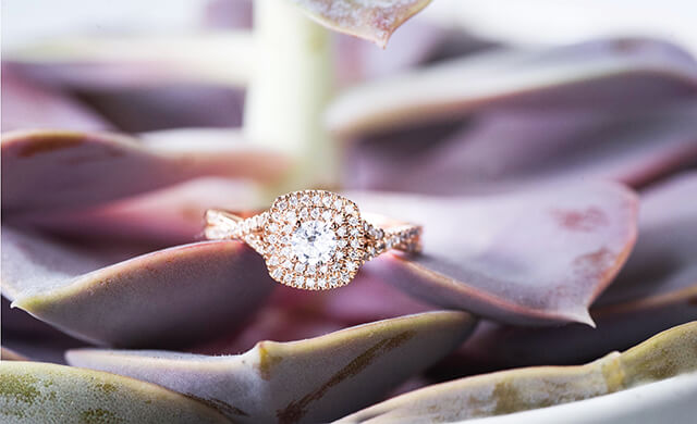 Rose gold twist engagement ring centered with diamond with a double halo of diamonds
and diamonds in the bands.