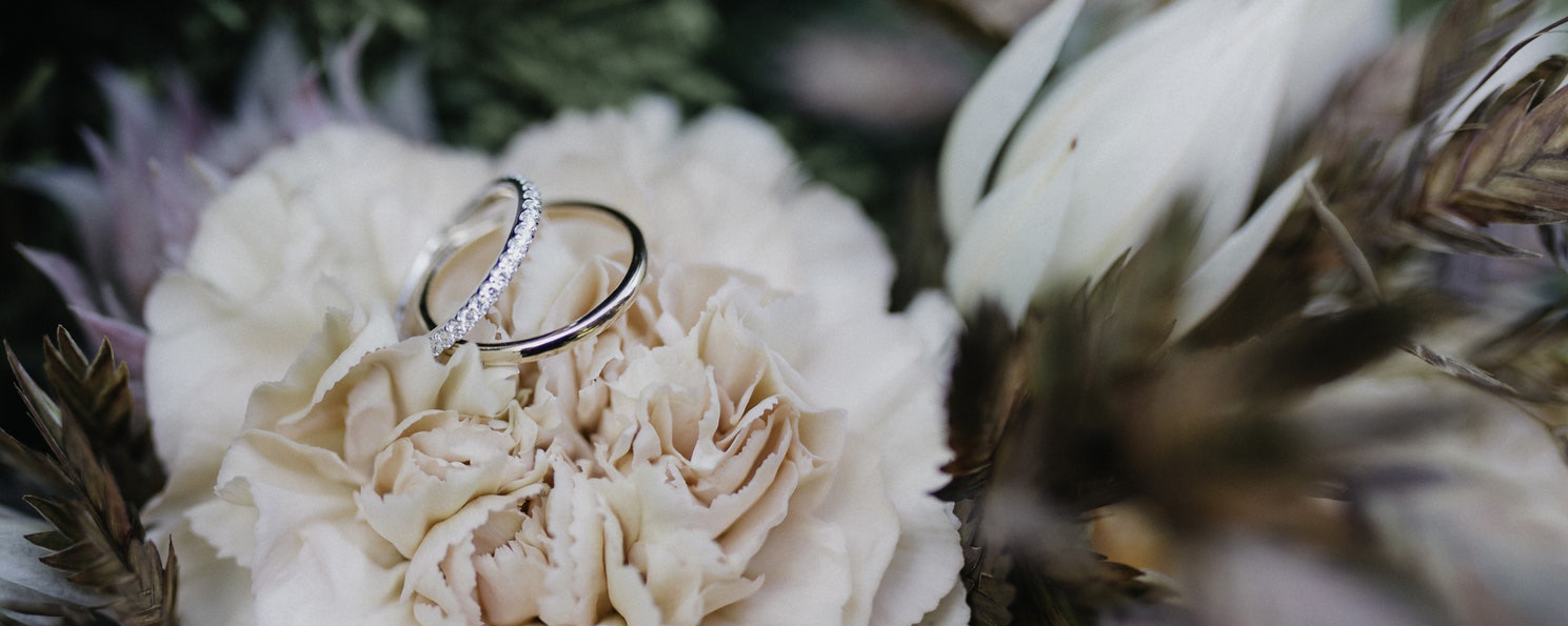 Two white gold wedding bands sitting on a white flower.