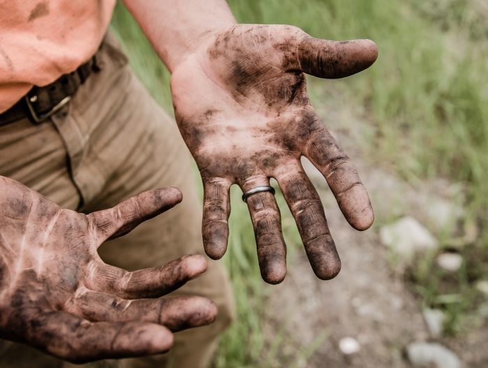 Man’s hands covered in dirt from gardening.