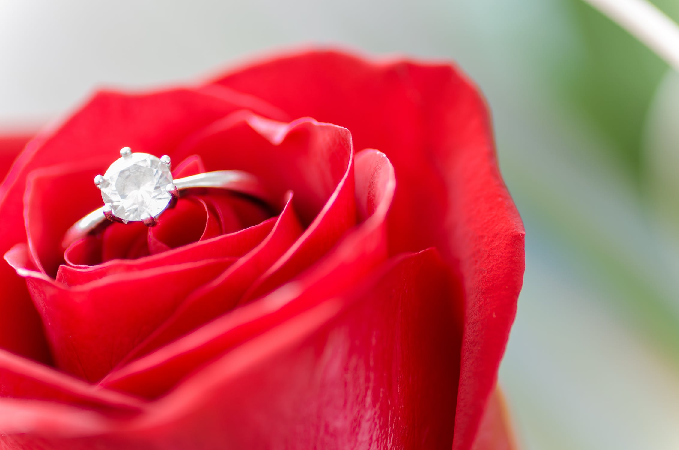 Solitaire engagement ring centered with a diamond placed inside a red rose.