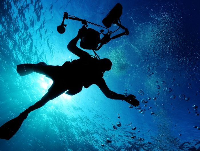 View from below scuba diver in the ocean.