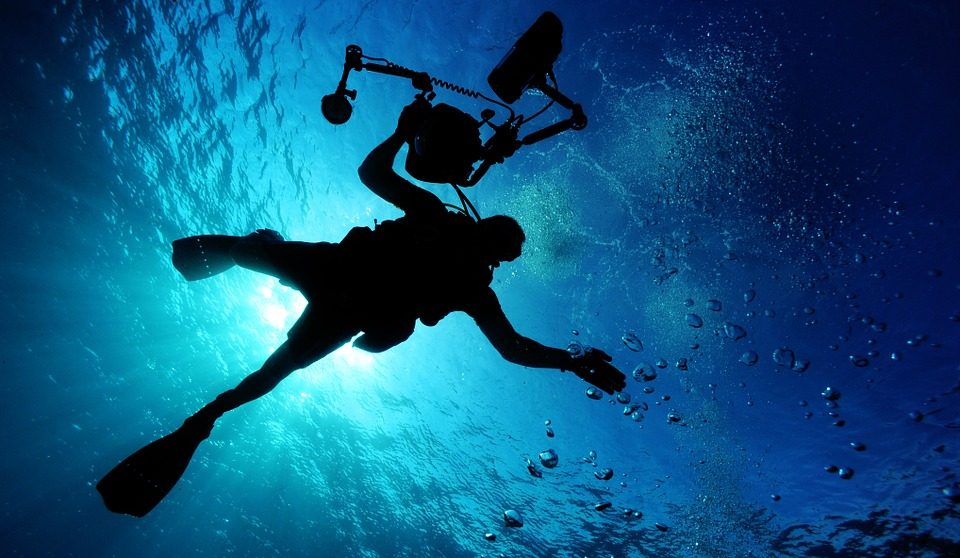 View from below scuba diver in the ocean.