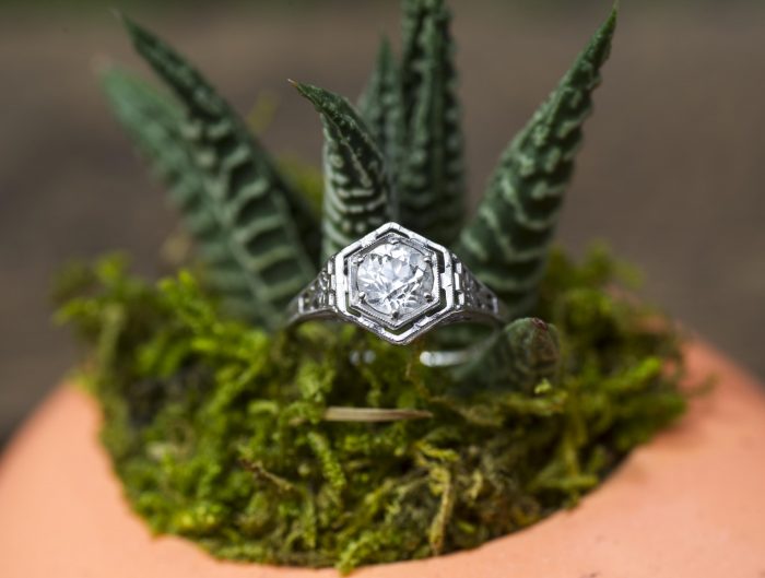 White gold Art Deco diamond engagement ring placed in succulent.