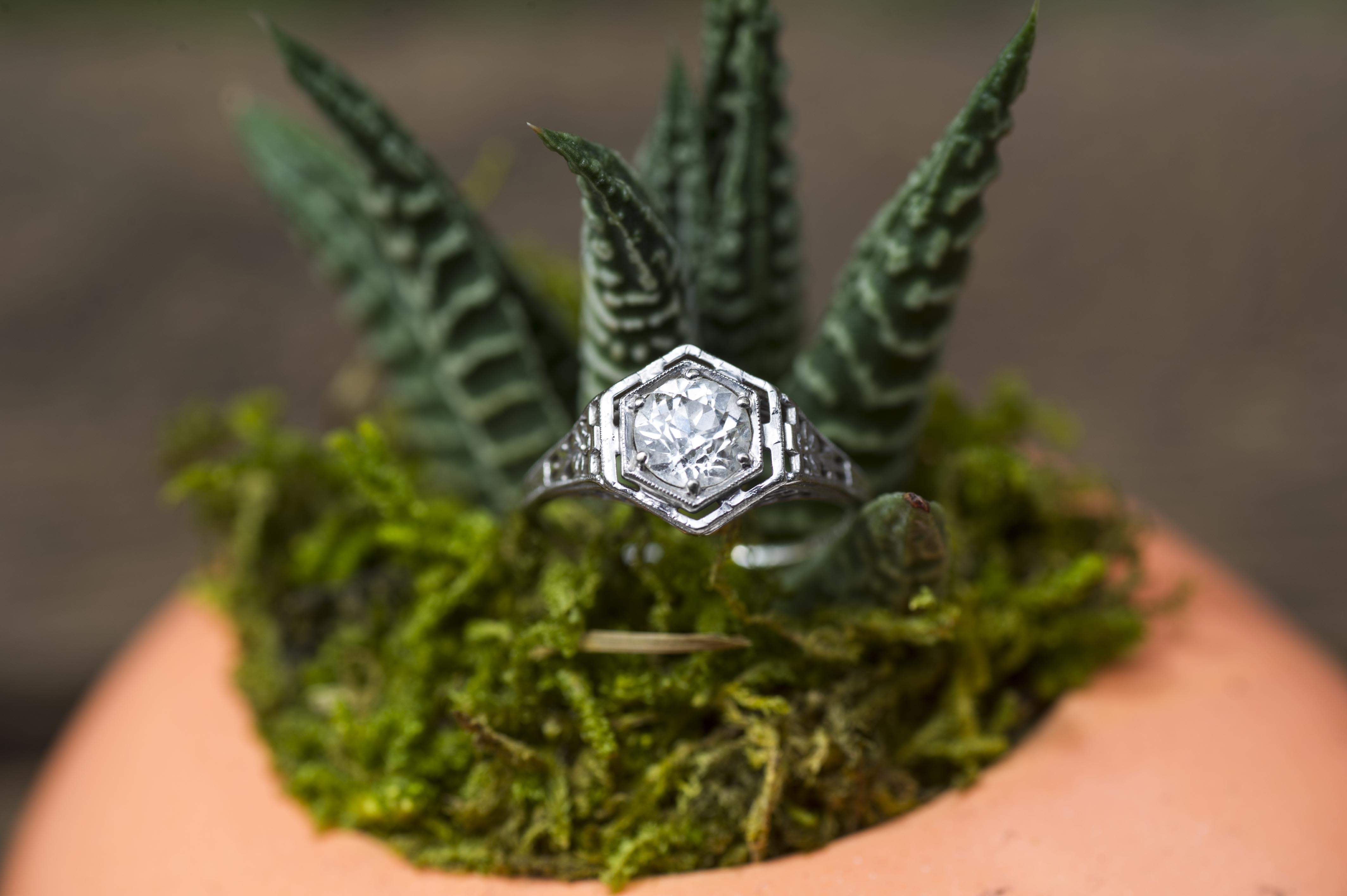 White gold Art Deco diamond engagement ring placed in succulent.