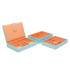 New Wolf Designs Medium Aqua Stackable Tray Set