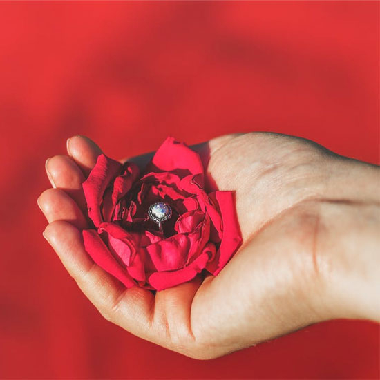 White gold engagement ring centered with a diamond displayed in the center of a red rose..