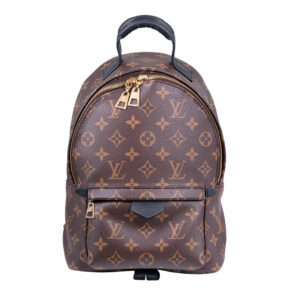 Louis Vuitton monogram backpack with leather straps