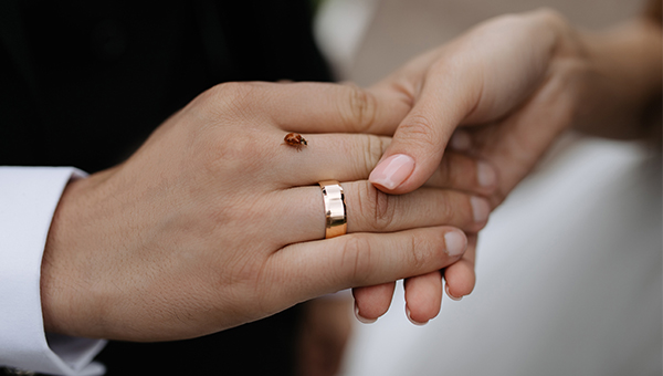 a close-up image of a wedding band on a man's hand. His hand is holding a woman's hand. A ladybug rests on the man's hand.